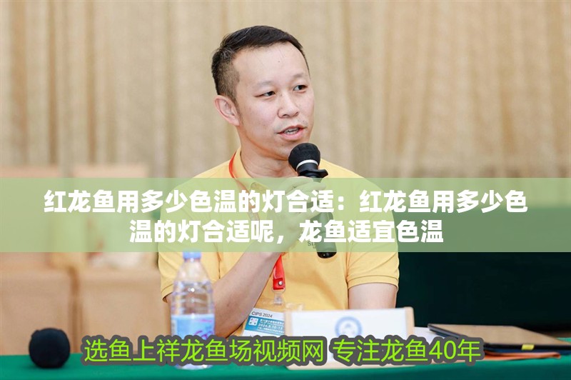 紅龍魚用多少色溫的燈合適：紅龍魚用多少色溫的燈合適呢，龍魚適宜色溫