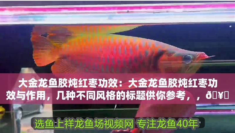 大金龍魚膠燉紅棗功效：大金龍魚膠燉紅棗功效與作用，幾種不同風(fēng)格的標(biāo)題供你參考，，??滋補(bǔ)佳品！大金龍魚膠燉紅棗的神奇功效全解析，??揭秘，大金龍魚膠燉紅棗的超贊功效與作用！，??必知！大金龍魚膠燉紅棗有哪些驚人功效？