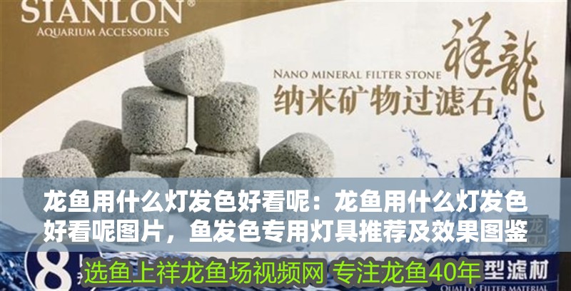 龍魚用什么燈發色好看呢：龍魚用什么燈發色好看呢圖片，魚發色專用燈具推薦及效果圖鑒
