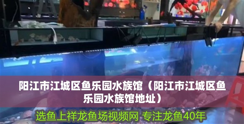 陽江市江城區魚樂園水族館（陽江市江城區魚樂園水族館地址）