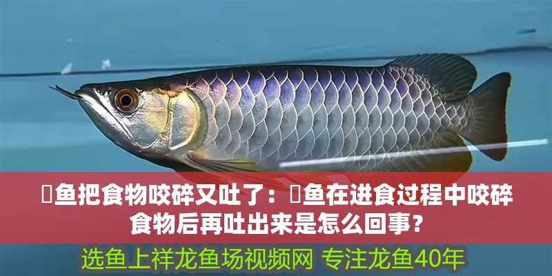 魟魚把食物咬碎又吐了：魟魚在進食過程中咬碎食物后再吐出來是怎么回事？ 魟魚把食物咬碎又吐了：魟魚在進食過程中咬碎食物后再吐出來是怎么回事？ 魟魚百科 第2張