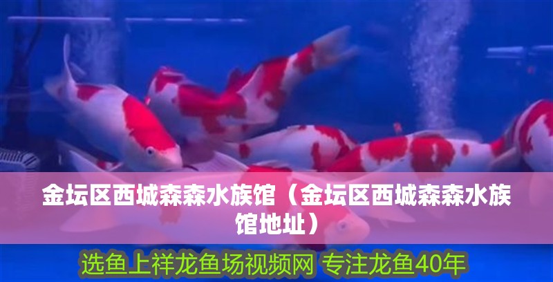 金壇區西城森森水族館（金壇區西城森森水族館地址） 金壇區西城森森水族館（金壇區西城森森水族館地址） 全國水族館企業名錄 第2張