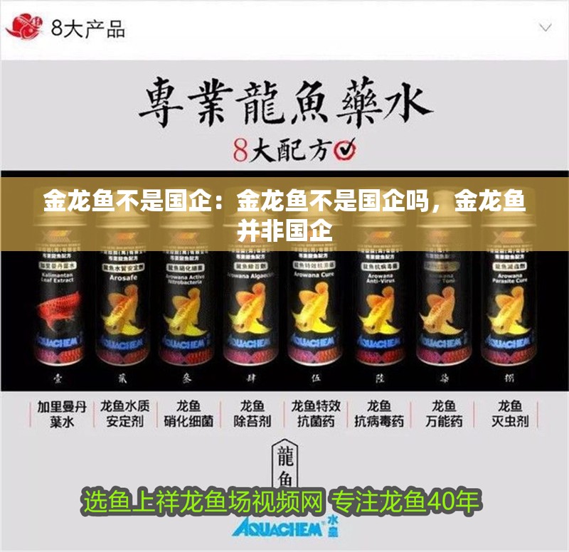 金龍魚不是國企：金龍魚不是國企嗎，金龍魚并非國企 金龍魚不是國企：金龍魚不是國企嗎，金龍魚并非國企 水族問答