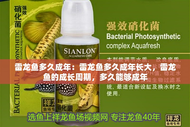 雷龍魚多久成年：雷龍魚多久成年長大，雷龍魚的成長周期，多久能夠成年