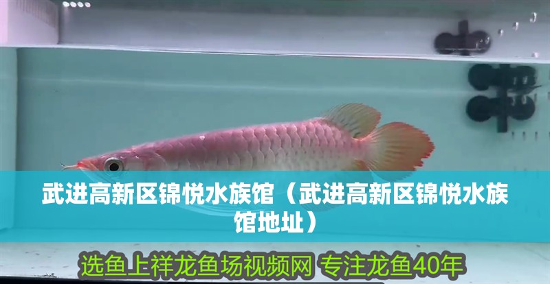 武進高新區錦悅水族館（武進高新區錦悅水族館地址）