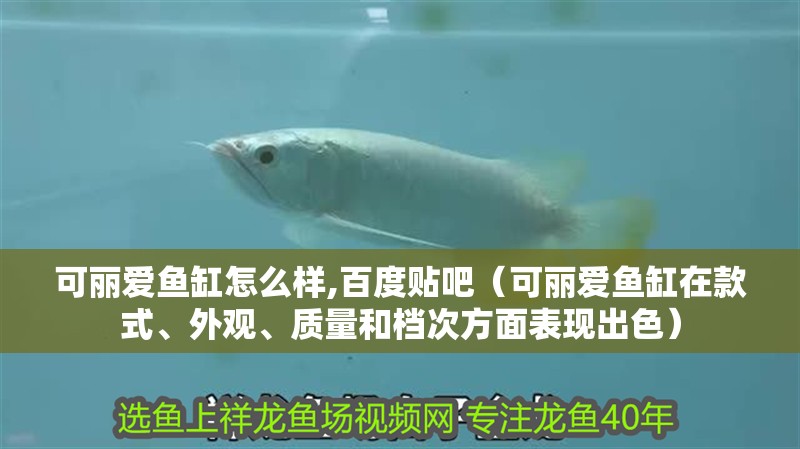 可麗愛魚缸怎么樣,百度貼吧（可麗愛魚缸在款式、外觀、質(zhì)量和檔次方面表現(xiàn)出色）