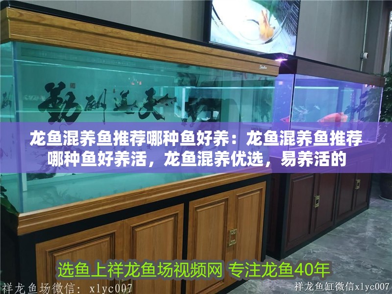 龍魚混養魚推薦哪種魚好養：龍魚混養魚推薦哪種魚好養活，龍魚混養優選，易養活的