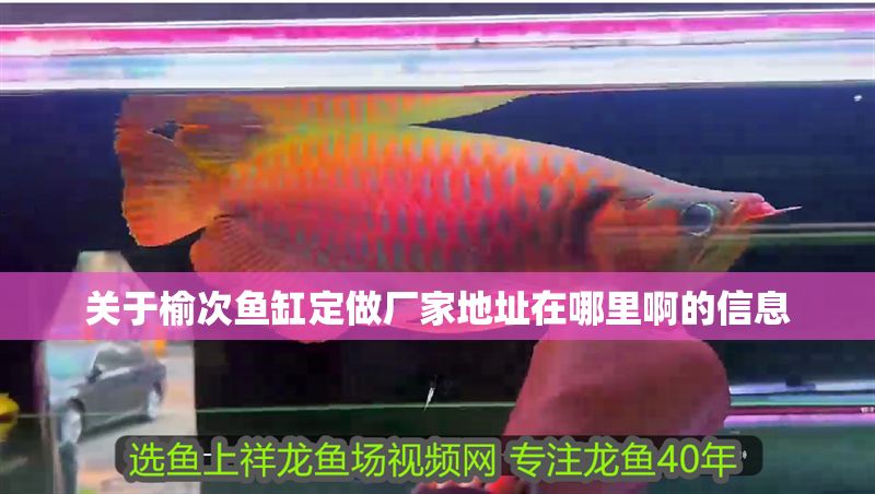 關(guān)于榆次魚缸定做廠家地址在哪里啊的信息