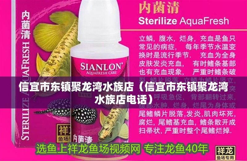 信宜市東鎮聚龍灣水族店(信宜市東鎮聚龍灣水族店電話) 全國水族館企業名錄 第2張 信宜市東鎮聚龍灣水族店(信宜市東鎮聚龍灣水族店電話) 信宜市東鎮聚龍灣水族店(信宜市東鎮聚龍灣水族店電話) 全國水族館企業名錄 第2張