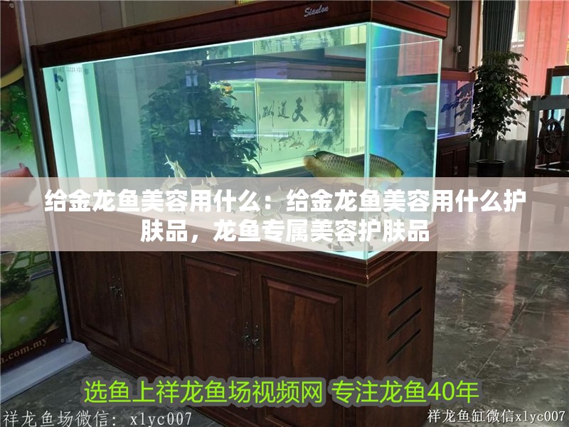 給金龍魚美容用什么：給金龍魚美容用什么護膚品，龍魚專屬美容護膚品
