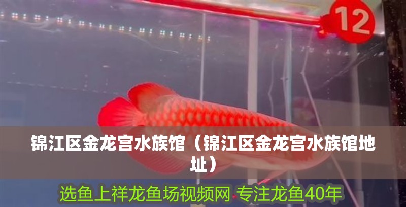 錦江區(qū)金龍宮水族館（錦江區(qū)金龍宮水族館地址）