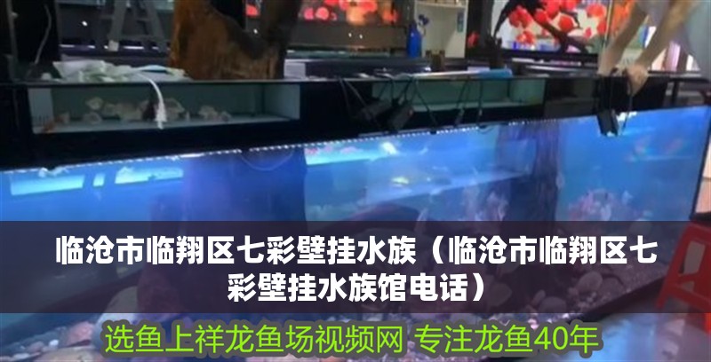 臨滄市臨翔區七彩壁掛水族（臨滄市臨翔區七彩壁掛水族館電話）
