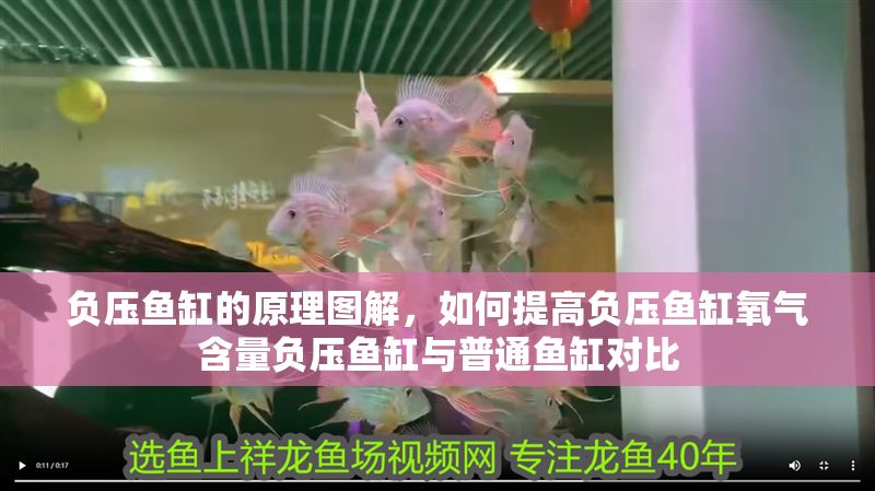 負壓魚缸的原理圖解，如何提高負壓魚缸氧氣含量負壓魚缸與普通魚缸對比