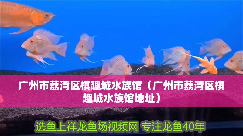廣州市荔灣區(qū)棋趣城水族館（廣州市荔灣區(qū)棋趣城水族館地址）