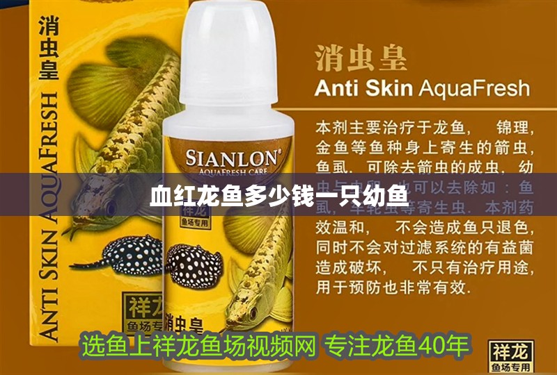 血紅龍魚多少錢一只幼魚