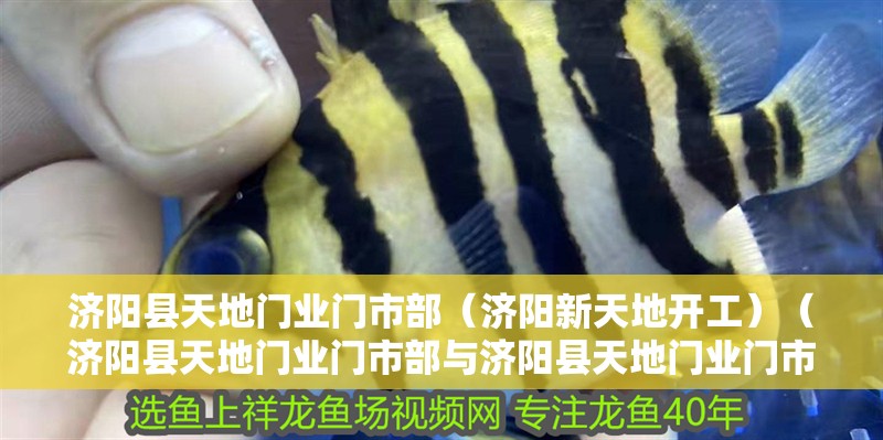 濟陽縣天地門業門市部（濟陽新天地開工）（濟陽縣天地門業門市部與濟陽縣天地門業門市部<strong><mark>合作</mark></strong>）