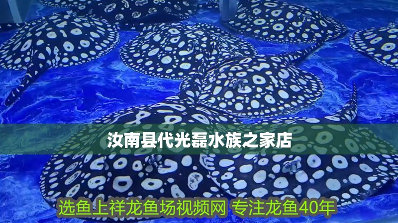 汝南縣代光磊水族之家店 汝南縣代光磊水族之家店 全國水族館企業(yè)名錄 第2張