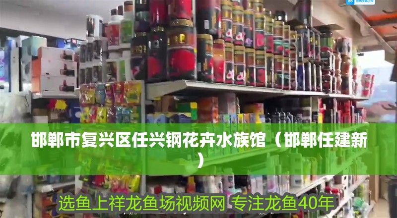 邯鄲市復興區任興鋼花卉水族館(邯鄲任建新) 全國水族館企業名錄 第2張 邯鄲市復興區任興鋼花卉水族館(邯鄲任建新) 邯鄲市復興區任興鋼花卉水族館(邯鄲任建新) 全國水族館企業名錄 第2張