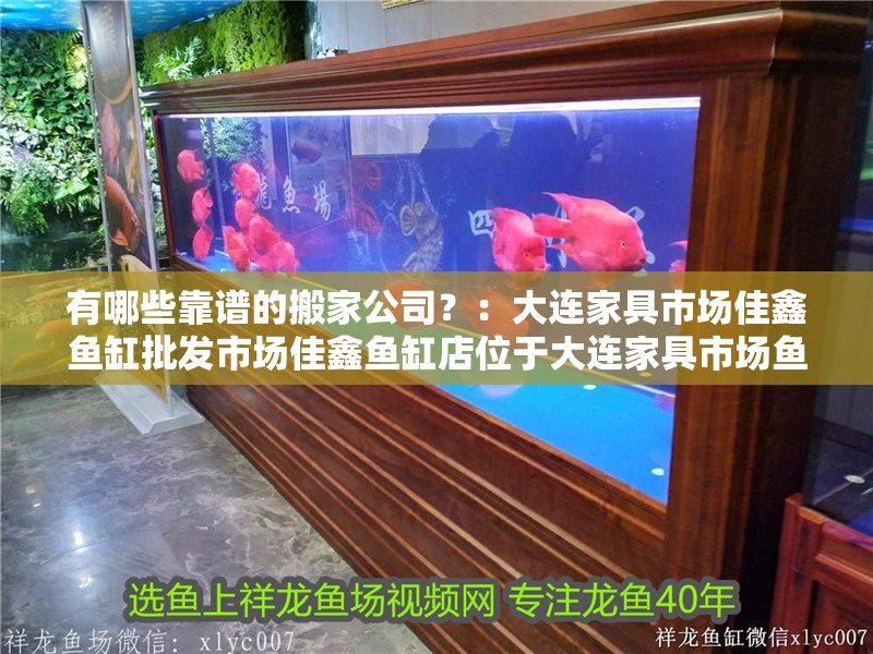 有哪些靠譜的搬家公司？：大連家具市場佳鑫魚缸批發市場佳鑫魚缸店位于大連家具市場魚缸店 有哪些靠譜的搬家公司？：大連家具市場佳鑫魚缸批發市場佳鑫魚缸店位于大連家具市場魚缸店 魚缸百科