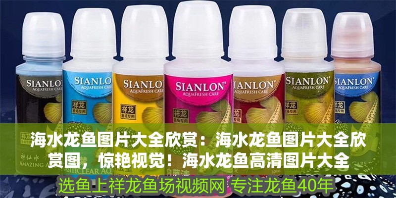 海水龍魚圖片大全欣賞：海水龍魚圖片大全欣賞圖，驚艷視覺！海水龍魚高清圖片大全 海水龍魚圖片大全欣賞：海水龍魚圖片大全欣賞圖，驚艷視覺！海水龍魚高清圖片大全 水族問答