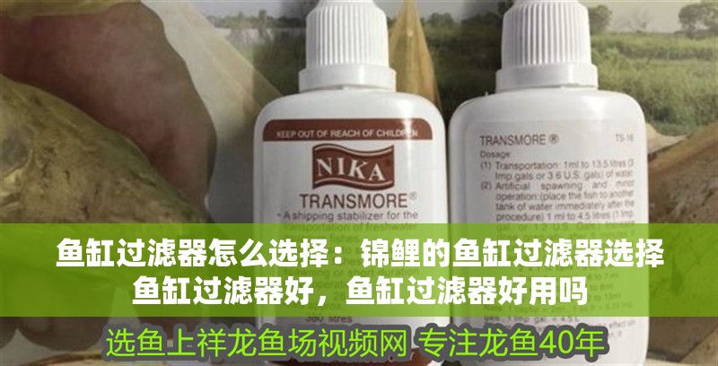 魚缸過濾器怎么選擇：錦鯉的魚缸過濾器選擇魚缸過濾器好，魚缸過濾器好用嗎