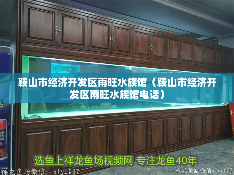 鞍山市經(jīng)濟開發(fā)區(qū)雨旺水族館（鞍山市經(jīng)濟開發(fā)區(qū)雨旺水族館電話）