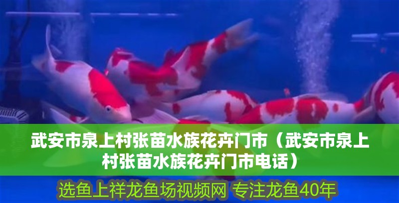武安市泉上村張苗水族花卉門市（武安市泉上村張苗水族花卉門市電話） 武安市泉上村張苗水族花卉門市（武安市泉上村張苗水族花卉門市電話） 全國水族館企業名錄 第2張