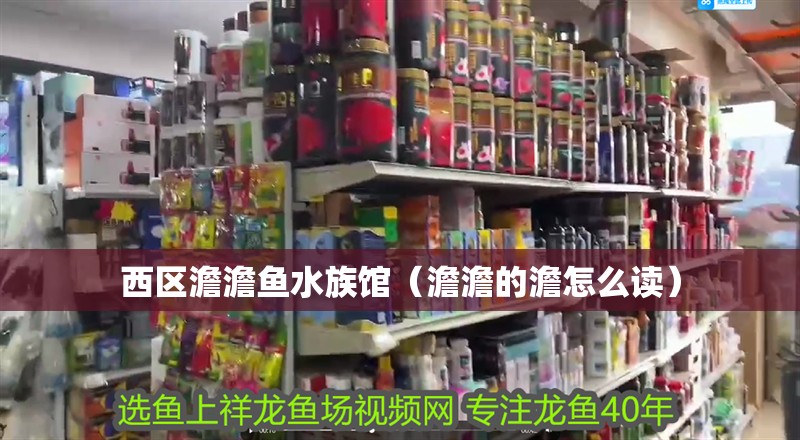 西區澹澹魚水族館(澹澹的澹怎么讀) 全國水族館企業名錄 第2張 西區澹澹魚水族館(澹澹的澹怎么讀) 西區澹澹魚水族館(澹澹的澹怎么讀) 全國水族館企業名錄 第2張