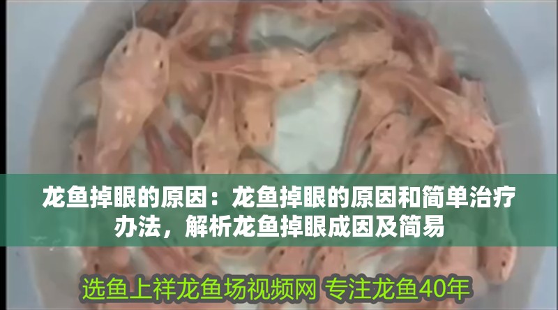 龍魚掉眼的原因：龍魚掉眼的原因和簡單治療辦法，解析龍魚掉眼成因及簡易 龍魚掉眼的原因：龍魚掉眼的原因和簡單治療辦法，解析龍魚掉眼成因及簡易 水族問答