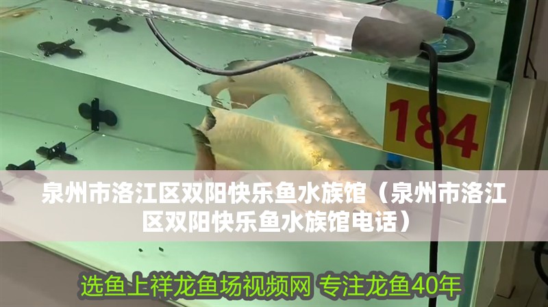 泉州市洛江區雙陽快樂魚水族館（泉州市洛江區雙陽快樂魚水族館電話） 泉州市洛江區雙陽快樂魚水族館（泉州市洛江區雙陽快樂魚水族館電話） 全國水族館企業名錄 第2張