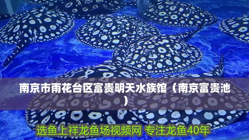 南京市雨花臺區富貴明天水族館（南京富貴池）