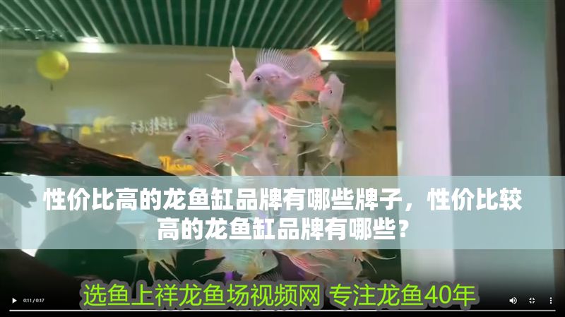 性價(jià)比高的龍魚缸品牌有哪些牌子，性價(jià)比較高的龍魚缸品牌有哪些？