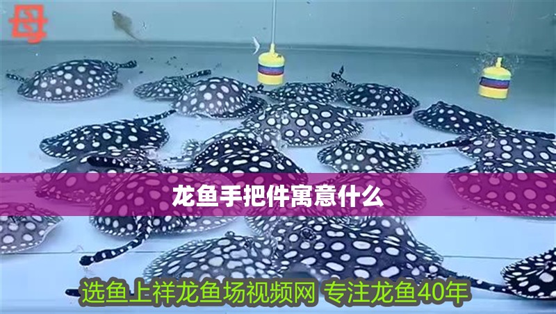 龍魚手把件寓意什么 龍魚手把件寓意什么 龍魚百科 第3張