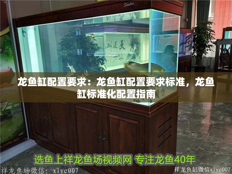 龍魚缸配置要求：龍魚缸配置要求標準，龍魚缸標準化配置指南