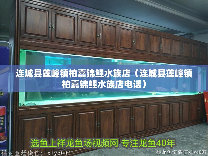 連城縣蓮峰鎮柏嘉錦鯉水族店(連城縣蓮峰鎮柏嘉錦鯉水族店電話) 全國水族館企業名錄 第2張 連城縣蓮峰鎮柏嘉錦鯉水族店(連城縣蓮峰鎮柏嘉錦鯉水族店電話) 連城縣蓮峰鎮柏嘉錦鯉水族店(連城縣蓮峰鎮柏嘉錦鯉水族店電話) 全國水族館企業名錄 第2張