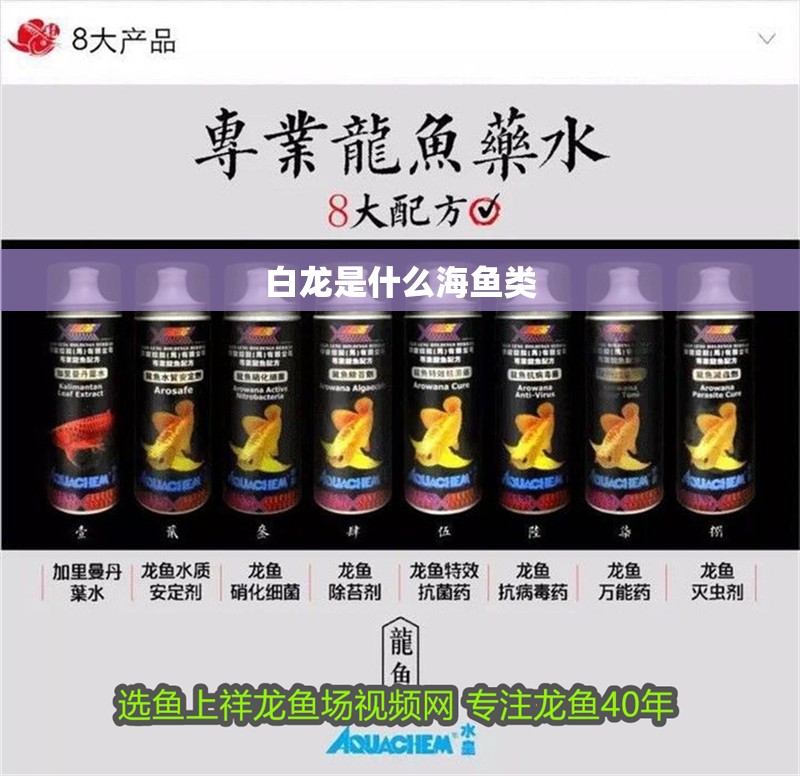 白龍是什么海魚類