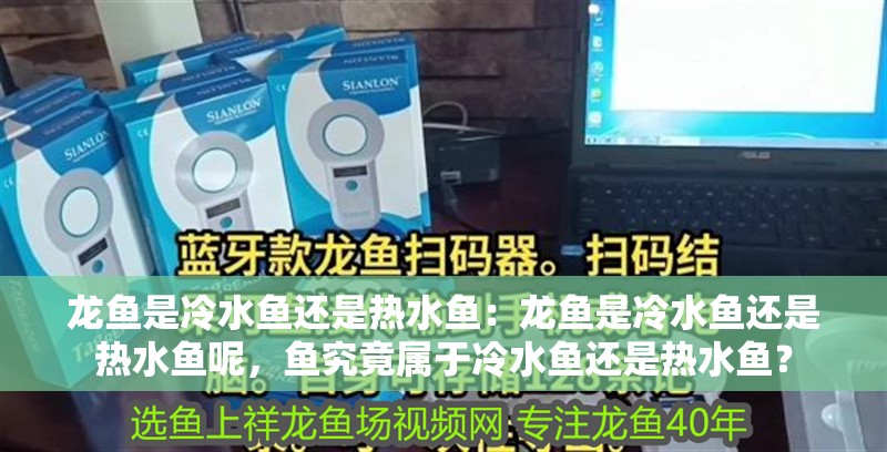 龍魚是冷水魚還是熱水魚：龍魚是冷水魚還是熱水魚呢，魚究竟屬于冷水魚還是熱水魚？