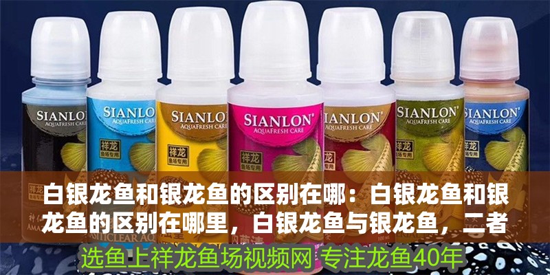白銀龍魚和銀龍魚的區(qū)別在哪：白銀龍魚和銀龍魚的區(qū)別在哪里，白銀龍魚與銀龍魚，二者究竟有何區(qū)別？ 白銀龍魚和銀龍魚的區(qū)別在哪：白銀龍魚和銀龍魚的區(qū)別在哪里，白銀龍魚與銀龍魚，二者究竟有何區(qū)別？ 水族問答