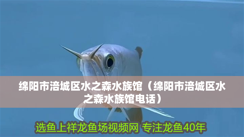 綿陽市涪城區水之森水族館(綿陽市涪城區水之森水族館電話) 全國水族館企業名錄 第2張 綿陽市涪城區水之森水族館(綿陽市涪城區水之森水族館電話) 綿陽市涪城區水之森水族館(綿陽市涪城區水之森水族館電話) 全國水族館企業名錄 第2張