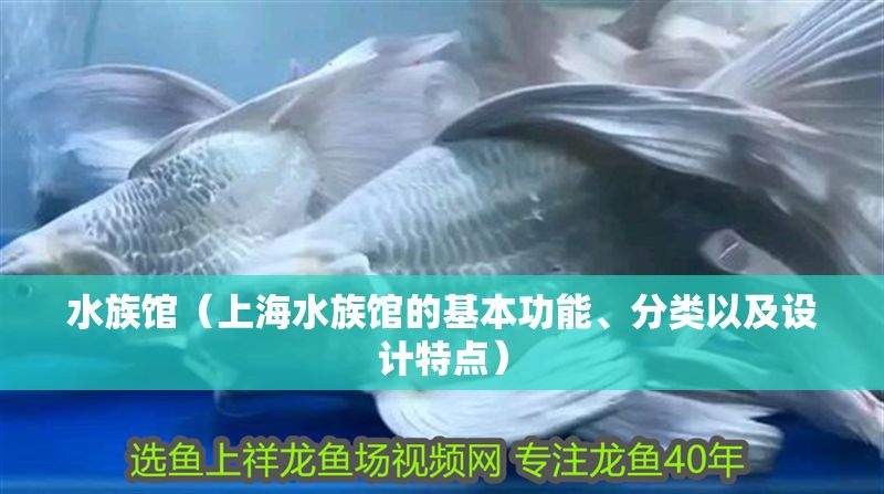 水族館（上海水族館的基本功能、分類以及設計特點） 水族館（上海水族館的基本功能、分類以及設計特點） 水族館百科（水族館加盟） 第1張