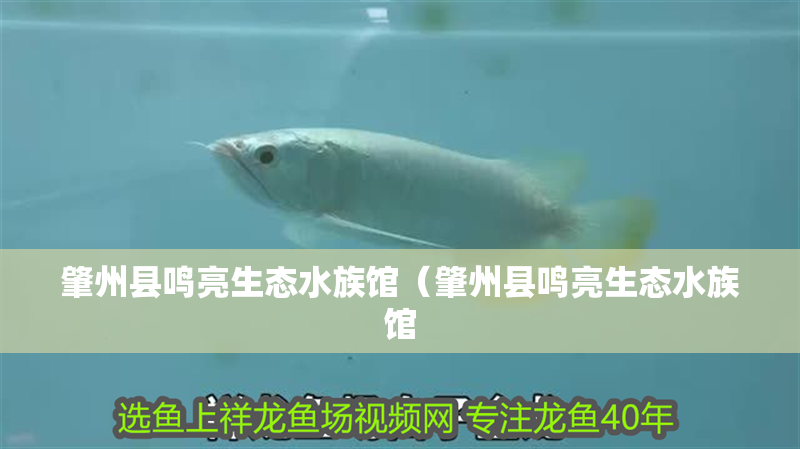肇州縣鳴亮生態水族館（肇州縣鳴亮生態水族館