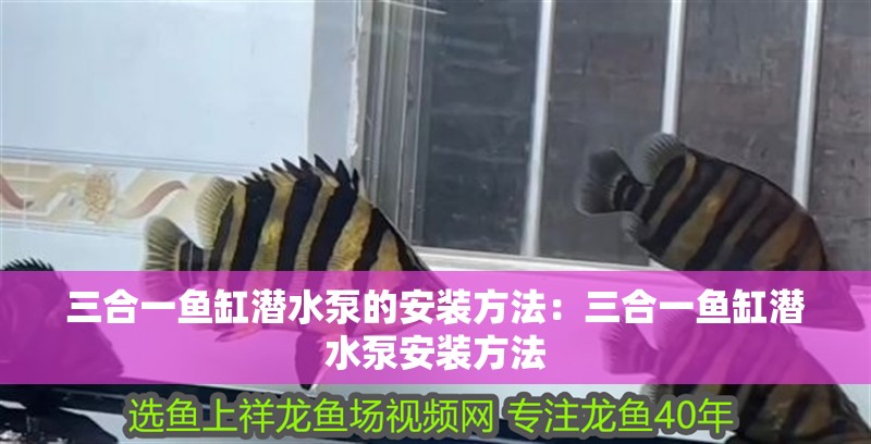 三合一魚缸潛水泵的安裝方法：三合一魚缸潛水泵安裝方法