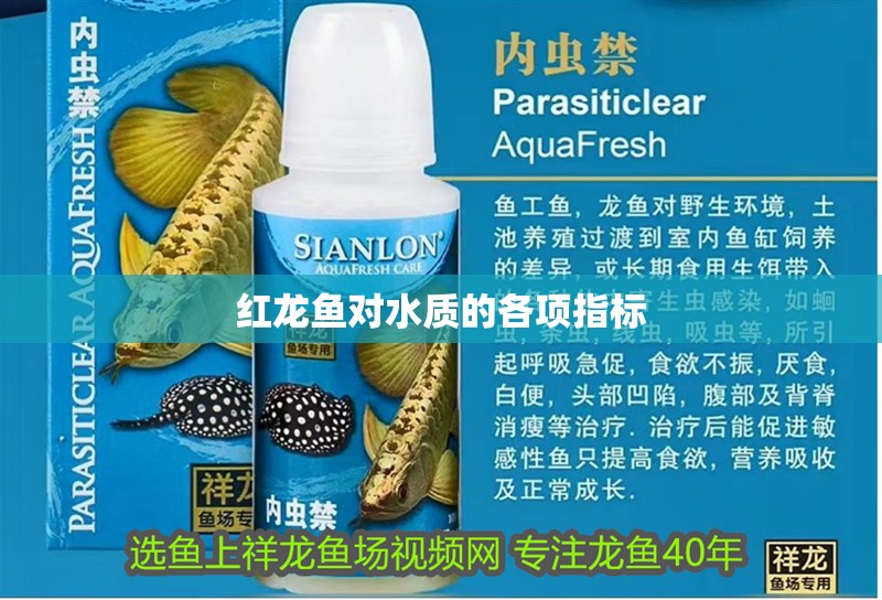 紅龍魚對水質的各項指標