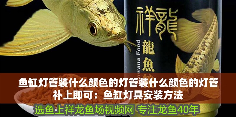 魚缸燈管裝什么顏色的燈管裝什么顏色的燈管補上即可：魚缸燈具安裝方法