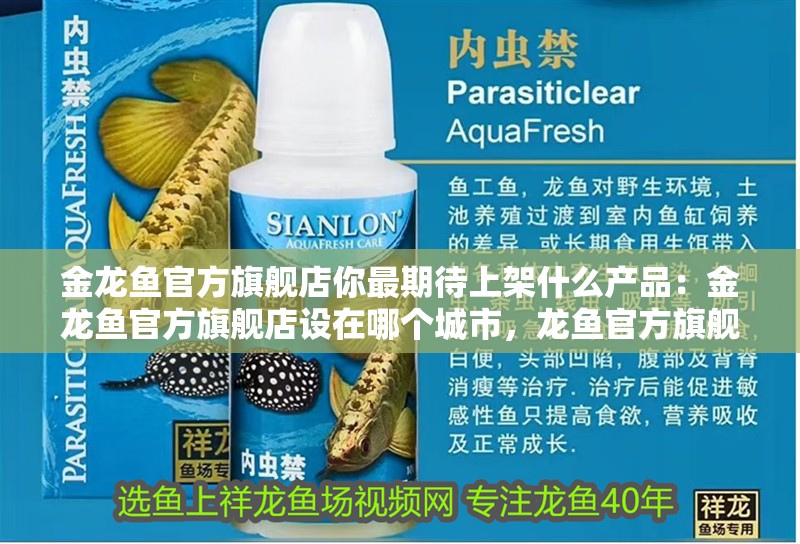 金龍魚官方旗艦店你最期待上架什么產品：金龍魚官方旗艦店設在哪個城市，龍魚官方旗艦店選址與新品期待大