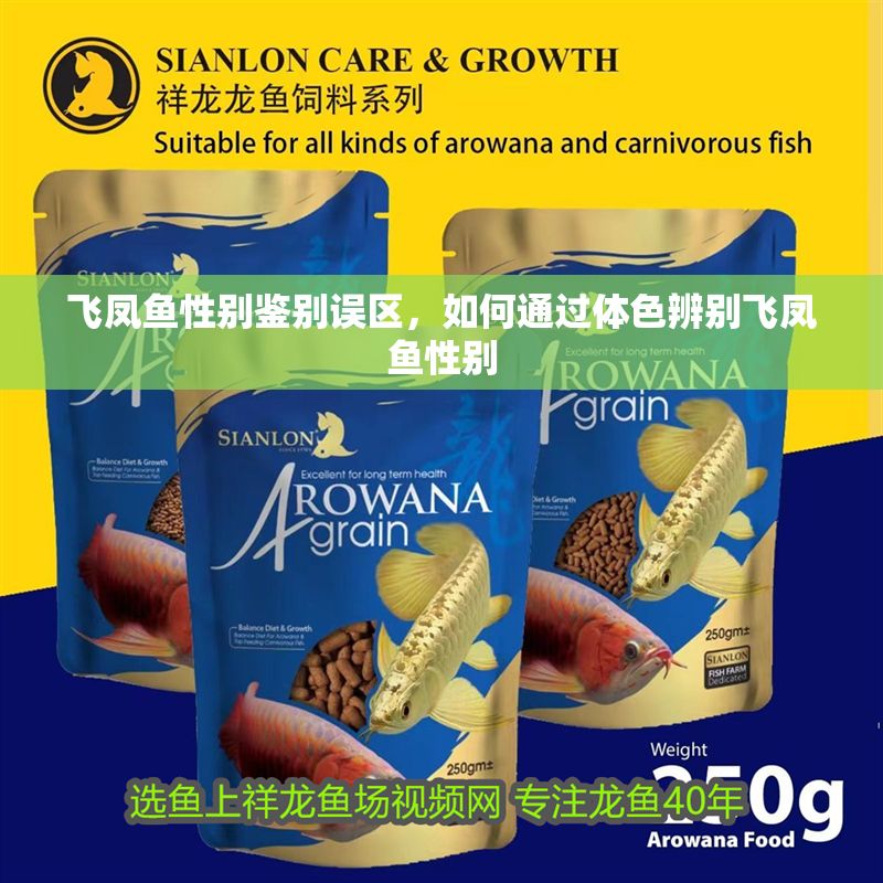 飛鳳魚性別鑒別誤區,如何通過體色辨別飛鳳魚性別 魚缸百科 第2張 飛鳳魚性別鑒別誤區,如何通過體色辨別飛鳳魚性別 飛鳳魚性別鑒別誤區,如何通過體色辨別飛鳳魚性別 魚缸百科 第2張