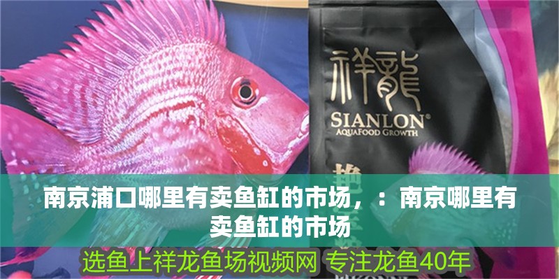 南京浦口哪里有賣魚缸的市場，：南京哪里有賣魚缸的市場