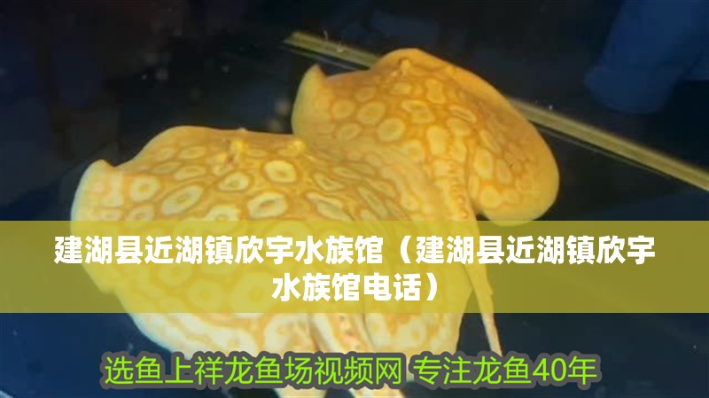 建湖縣近湖鎮欣宇水族館（建湖縣近湖鎮欣宇水族館電話）