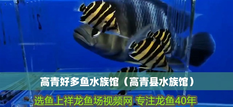 高青好多魚水族館（高青縣水族館） 高青好多魚水族館（高青縣水族館） 全國水族館企業名錄 第2張