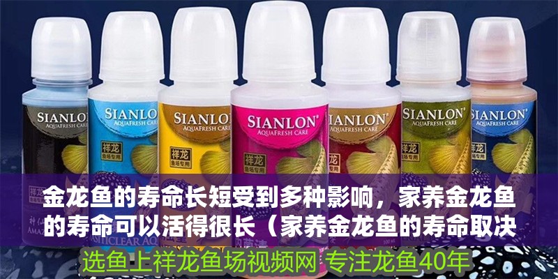 金龍魚的壽命長短受到多種影響，家養金龍魚的壽命可以活得很長（家養金龍魚的壽命取決于哪些因素？）